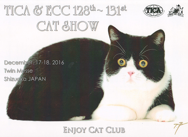 ECC(ENJOY CAT CLUB)128th-131st Cat Show