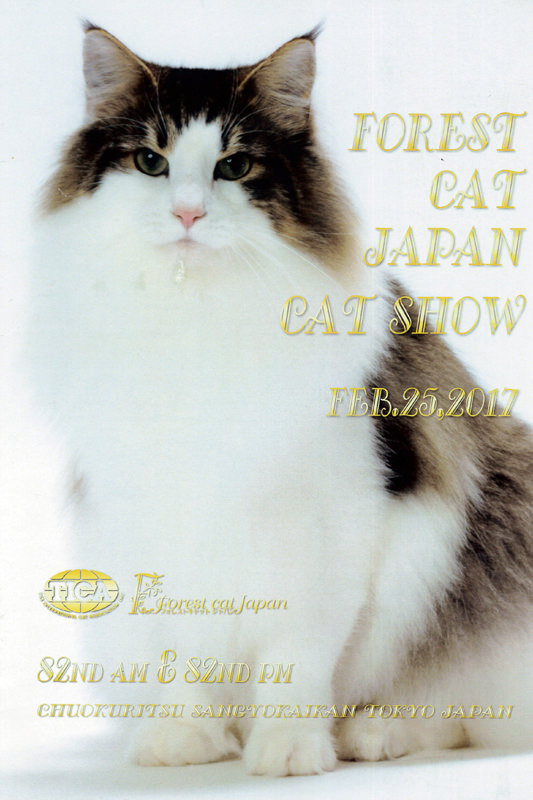 FCJ(Forest Cat Japan)82nd Cat Show